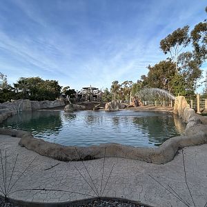 African Elephant Exhibit #1 - Elephant Odyssey