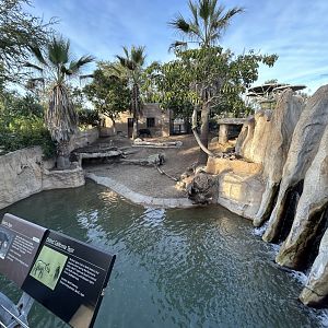 Baird’s Tapir & Capybara Exhibit #1 - Elephant Odyssey