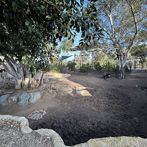 Baird’s Tapir & Capybara Exhibit #2 - Elephant Odyssey