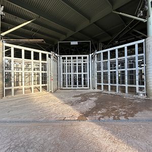 Elephant Care Center - Elephant Odyssey