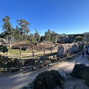 African Elephant Exhibit #2 - Elephant Odyssey
