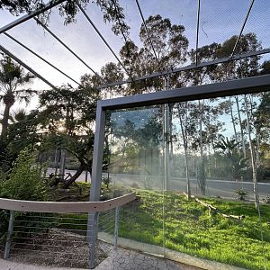 Nicobar Pigeon & Wompoo Fruit Dove Aviary - Elephant Odyssey