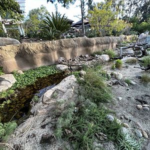 Streamside Exhibit - Elephant Odyssey