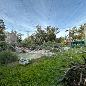 California Condor & Raven Aviary - Elephant Odyssey