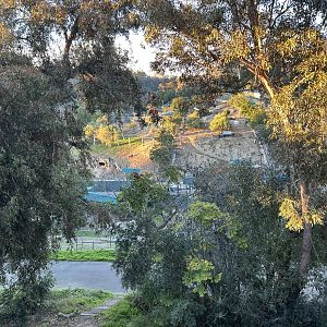 Off-exhibit Hoofstock Yards