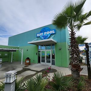 Ocean Adventures (IMMS) - Ray pool entrance