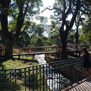 Stream and bridges - Ecoparque BA