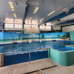 Ocean Adventures (IMMS) - Marine mammal show stage
