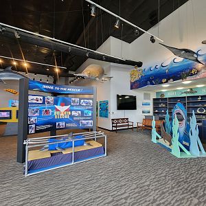 Ocean Adventures (IMMS) - Inside museum