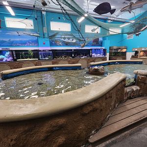 Ocean Adventures (IMMS) - Discovery room