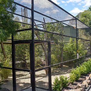 Golden Lion Tamarin enclosure