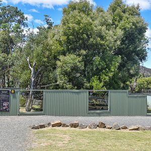 Red Panda enclosure - females
