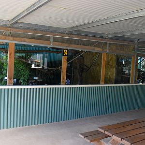 Common Marmoset/Cottontop Tamarin enclosures