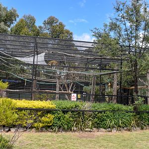 Squirrel Monkey enclosure