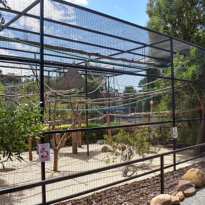Squirrel Monkey enclosure