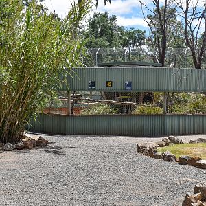 Superb Parrot/Bush Stone-Curlew aviary