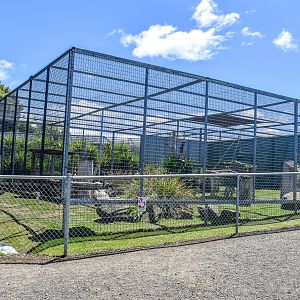 Serval enclosure