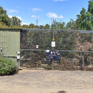 Common Marmoset enclosure