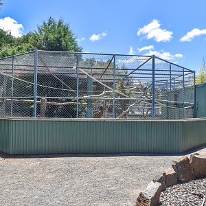 De Brazza's Monkey enclosure