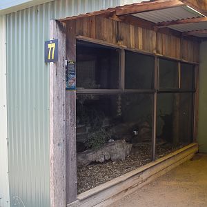 Sugar Glider enclosure