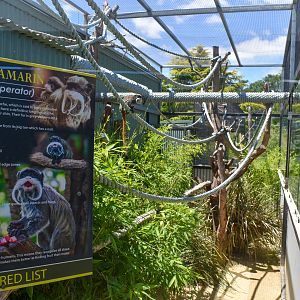 Emperor Tamarin enclosure