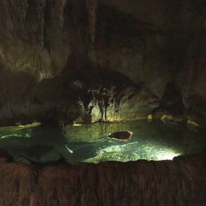 Rock pool with Atlantic/North Sea rays, 2023-05-15