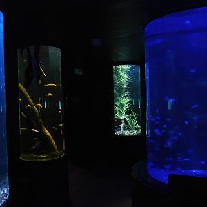 Room with cylindrical tanks, 2023-05-15