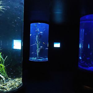 Room with cylindrical tanks, 2023-05-15