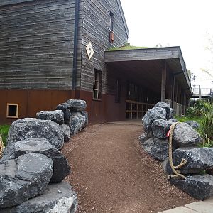 Outdoor viewing area for koala and potoroo house, 2023-05-15