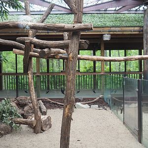 Koala and Long-nosed potoroo house, 2023-05-15