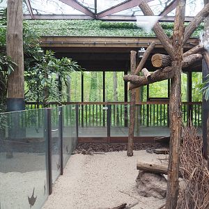 Koala and Long-nosed potoroo house, 2023-05-15
