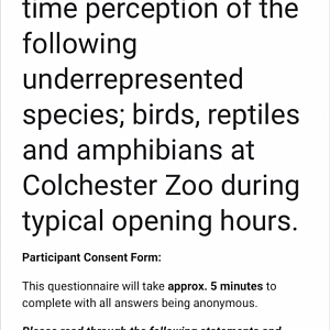 Colchester, at zoo survey, title page