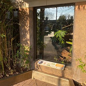 Colchester, Goeldi monkey new viewing window (outdoor)