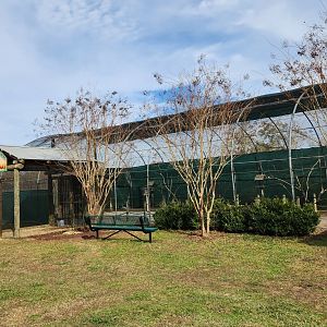 Alabama Safari Park - Budgie aviary