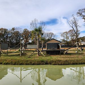 Alabama Safari Park - Lemur island exhibit