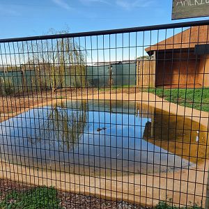 Iron P Homestead Zoo - Alligator enclosure