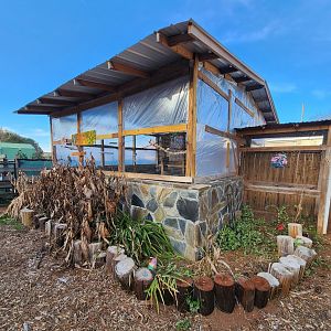 Iron P Homestead Zoo - Aviary