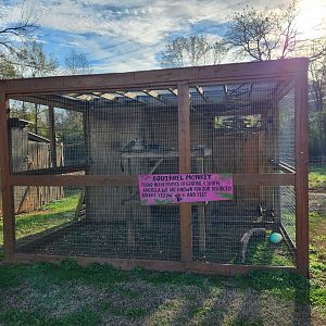 Iron P Homestead Zoo - Common Squirrel Monkey enclosure