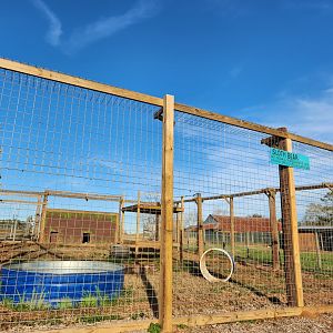 Iron P Homestead Zoo - Sloth Bear enclosure