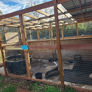 Iron P Homestead Zoo - Oriental Small-clawed Otter exhibit