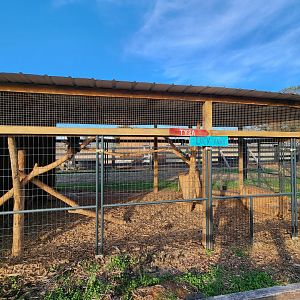 Iron P Homestead Zoo - Tayra enclosure