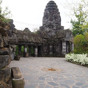 Javan leopard temple - Lower viewing area, 2023-05-15
