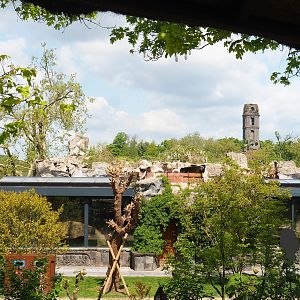 Komodo dragon house, with rocks on roof in bad condition, 2023-05-16