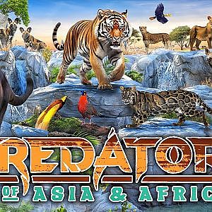Virtual Tour of Predators of Asia & Africa