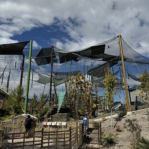 New orangutan-First view ABQ Biopark Zoo Oct 23-2023 visit
