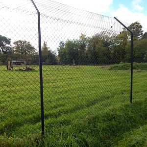 Cheetah enclosure 051123