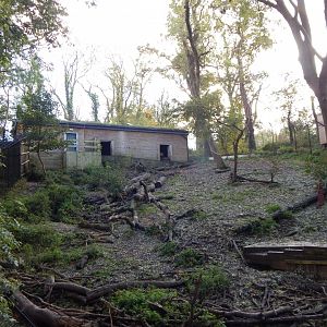 Bear Wood - European brown bear enclosure 051123