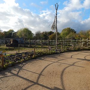Benoue - Common eland/Grants zebra enclosure 051123