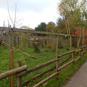 Lac Alaotra bamboo lemur enclosure 051123