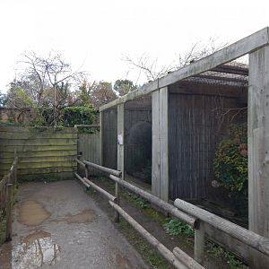 Walled Garden aviaries 051123